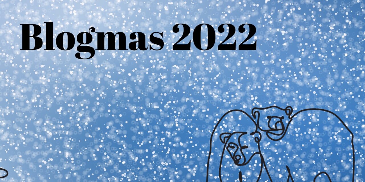 Blogmas day 19 – book stats for 2022